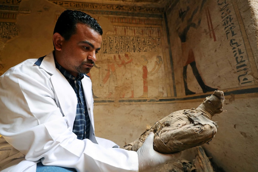 an archaeologist holding a mummified bird inside the tomb of tutu