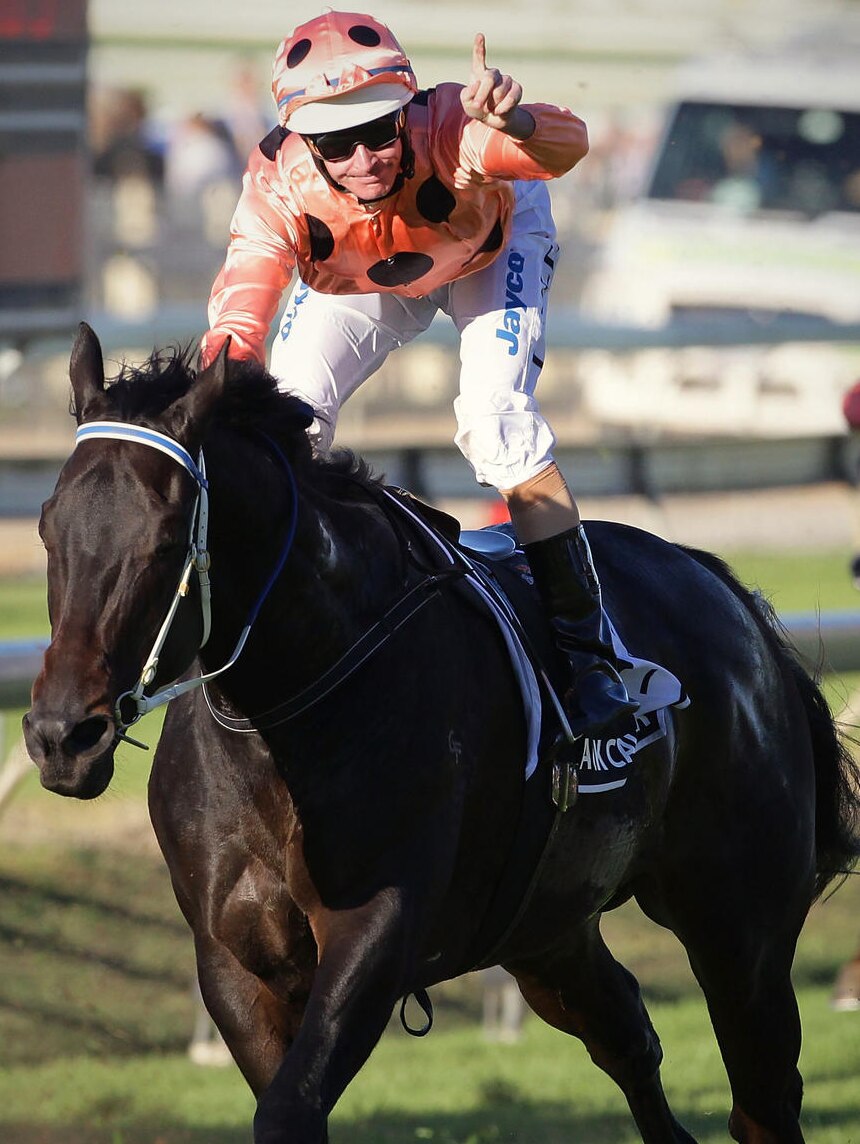 Black Caviar tasted success number 13 in the BTC Cup at Doomben last year.