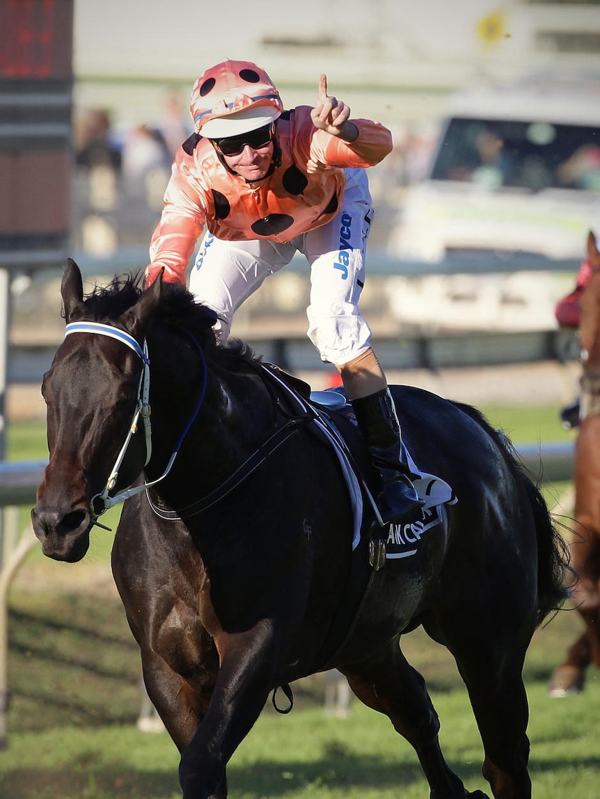 Coming of age ... Black Caviar will be chasing her 21st consecutive win from barrier eight at Goodwood.