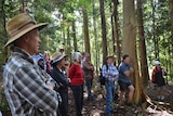 A group of people standing in a forest listening to a talk.