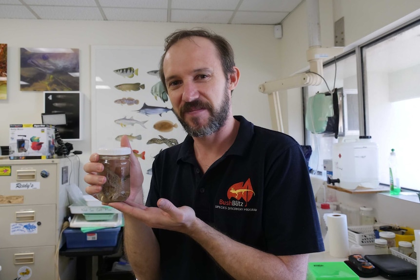 Dr Michael Hammer, Curator of Fishes at MAGNT
