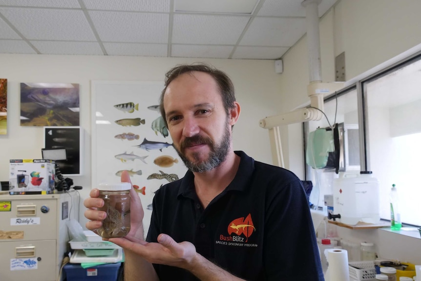 Dr Michael Hammer, Curator of Fishes at MAGNT