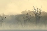 Mist on the Murray