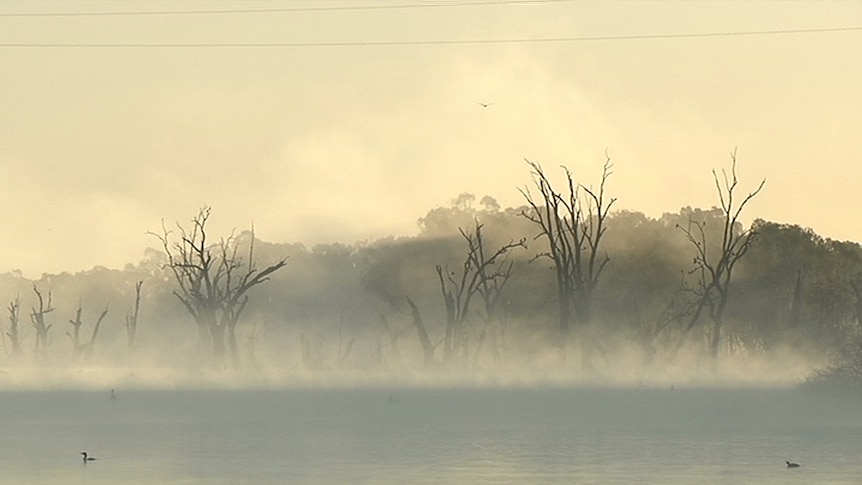 Mist on the Murray