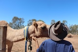 Gill Wheadon with a camel at the makeshift Menindee animal sanctuary.