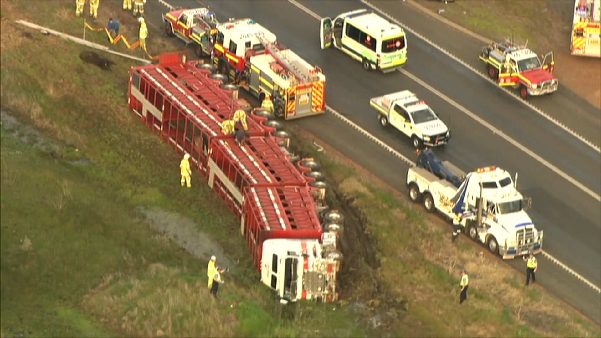 An aerial shot of a cattle truck lying on its side along a section of a highway