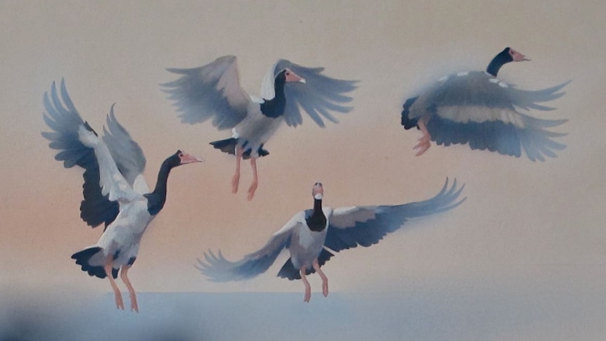 a painting of magpie geese