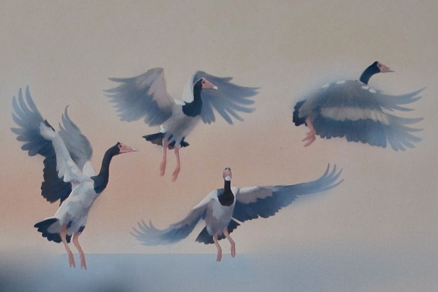 a painting of magpie geese