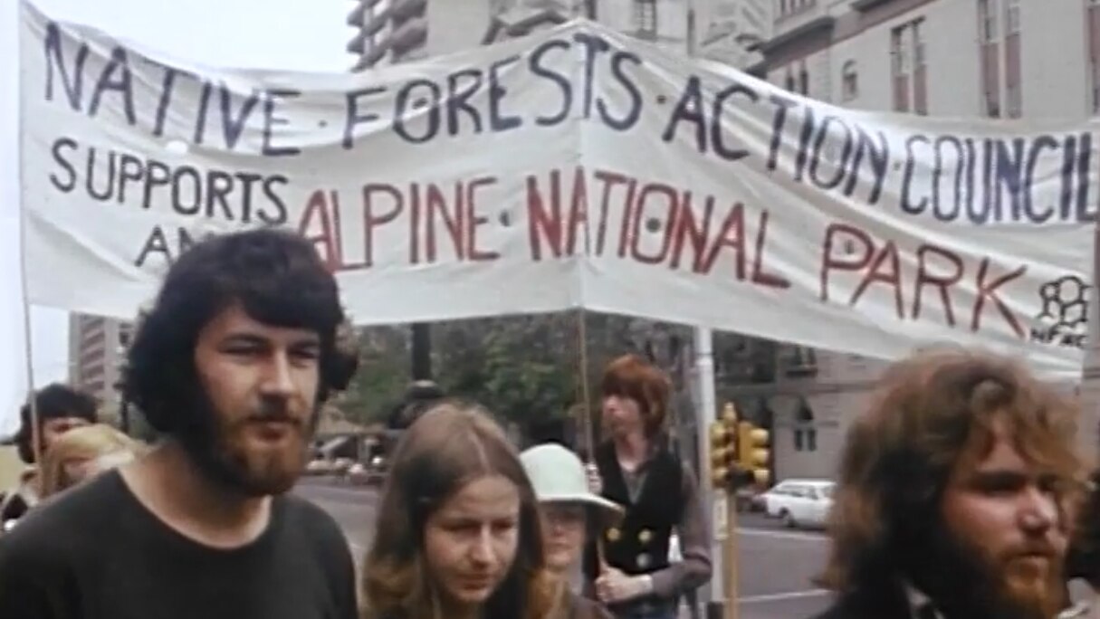 ABC News: Alpine logging protest - ABC Education