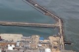 The radioactive materials were found in a 300-kilometre stretch off the coast of the Fukushima nuclear plant.
