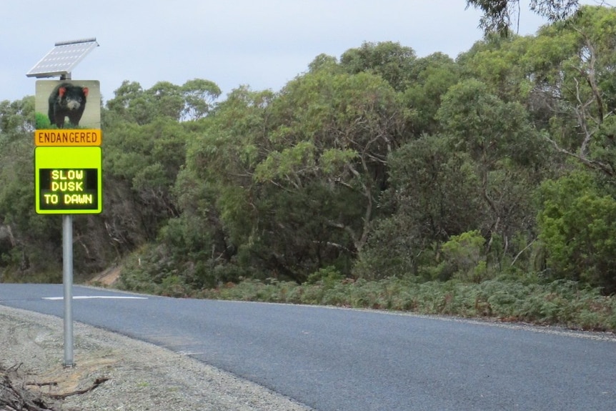 A narrow country road with a road sign in bright yellow saying 'slow dusk to dawn'