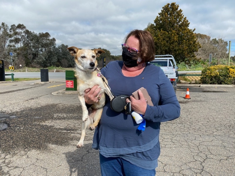 A woman holds her dog in a McDonald's car park.