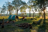 Farm camping growing in popularity