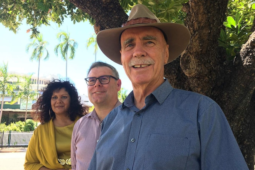 Federal Labor members Malarndirri McCarthy, Murray Watt and Warren Snowdon.