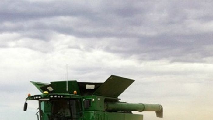 Harvesting wheat at Tandou Pastoral near Menindee, far west NSW