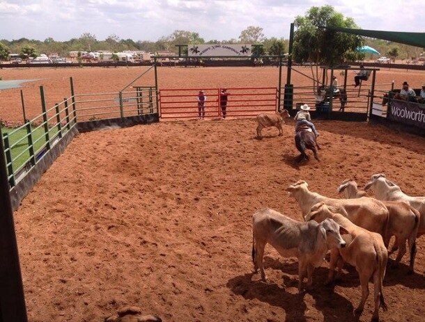 Big dry causes campdraft drought - ABC News