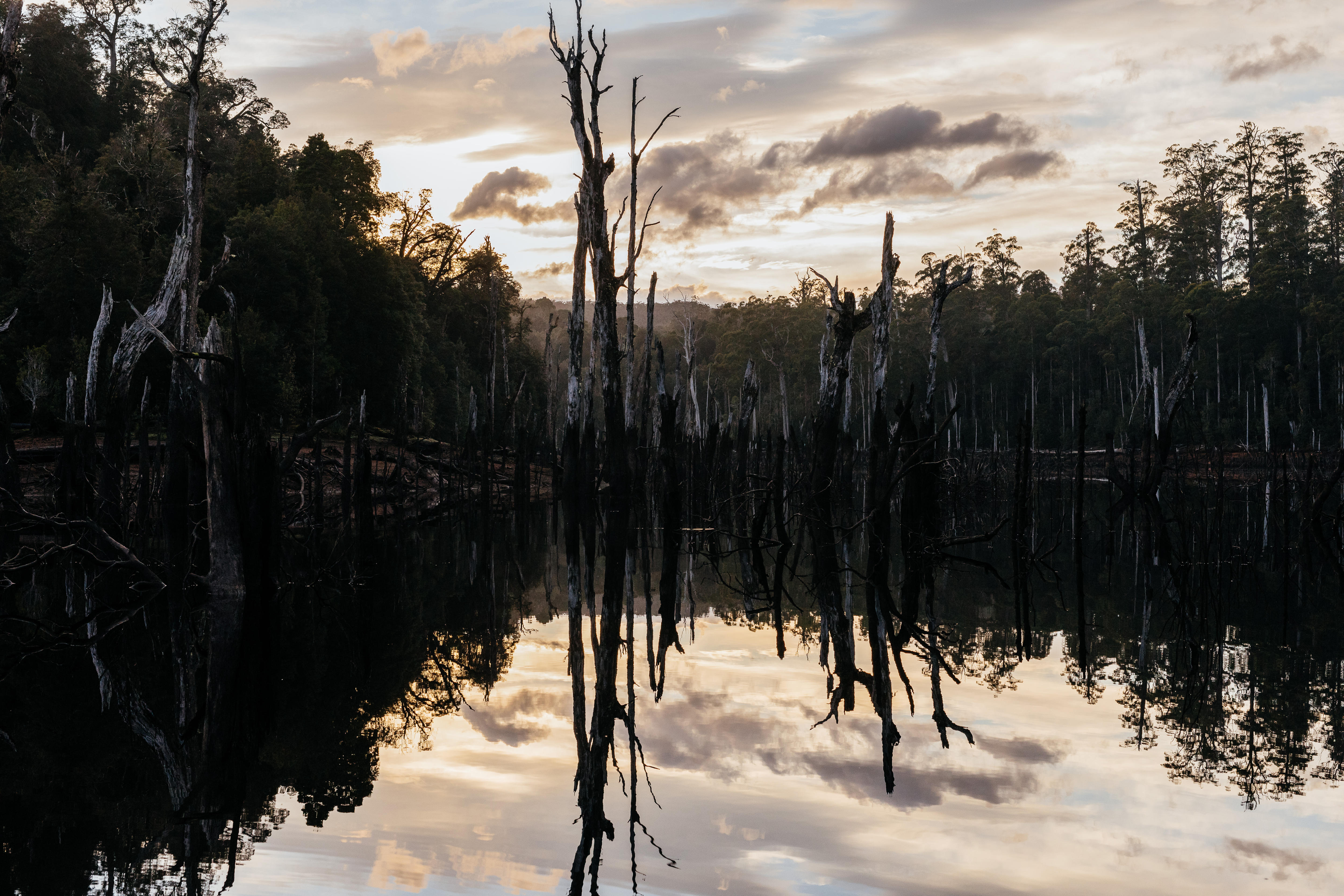 Lake with tree shadows in foreground at sunset. 