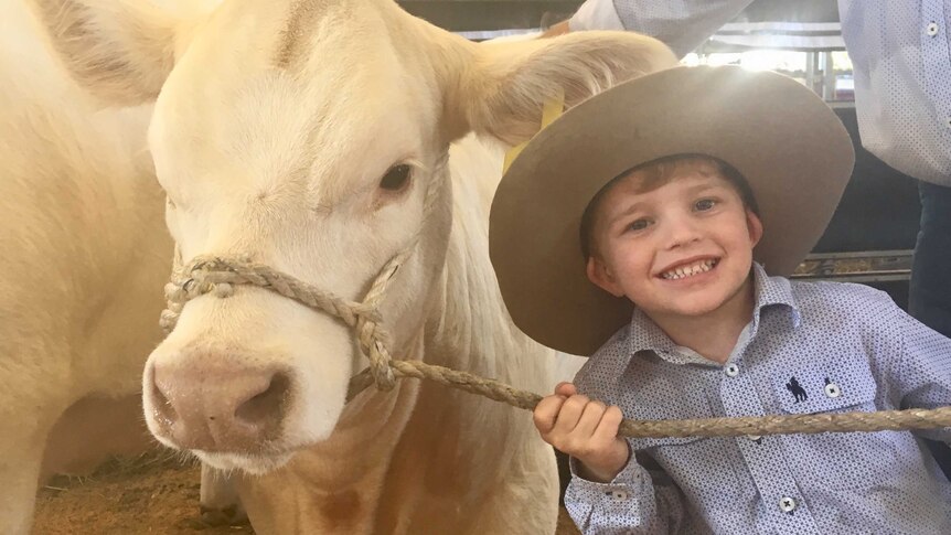 a boy in a hat with a young bull