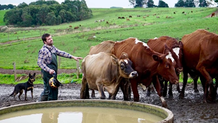 Peternak Australia, John Smith, mengatakan ia tak pernah melihat industri susu tertekan seperti ini.