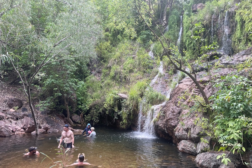 people relax in a pool as a waterfall cascades through ferns