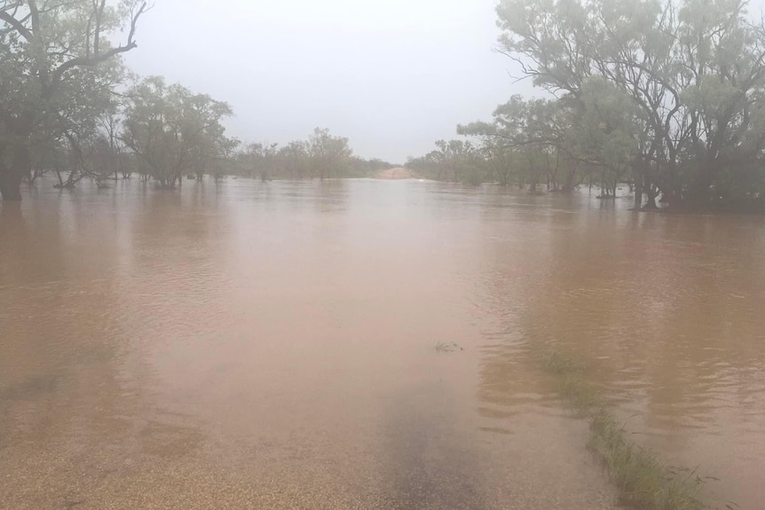 A flooded road with overcast sky and trees. 