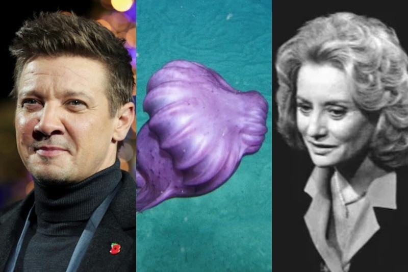 composite image of jeremy renner, a blob, barbara walters