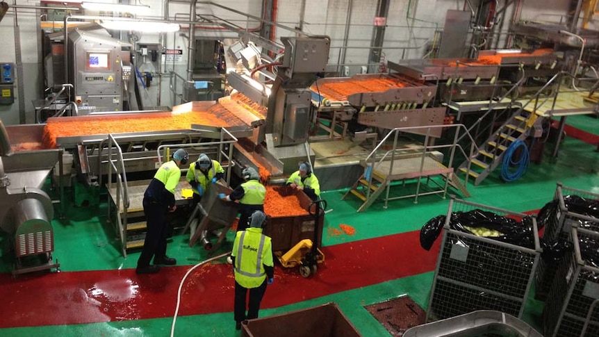 Simplot vegetable processing facility in Devonport, Tasmania