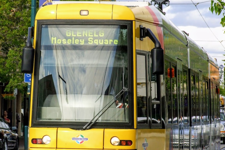 Glenelg Tram on Jetty Road