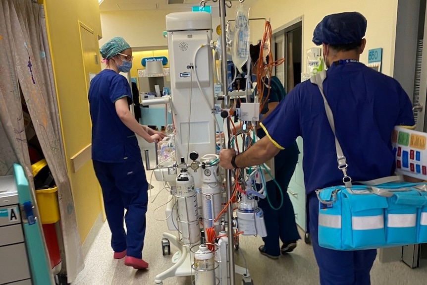 hospital staff in the hallway.