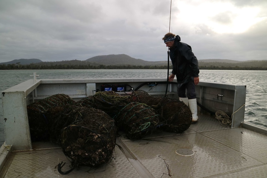 an oyster grower stands over baskets filled with oysters on a boat