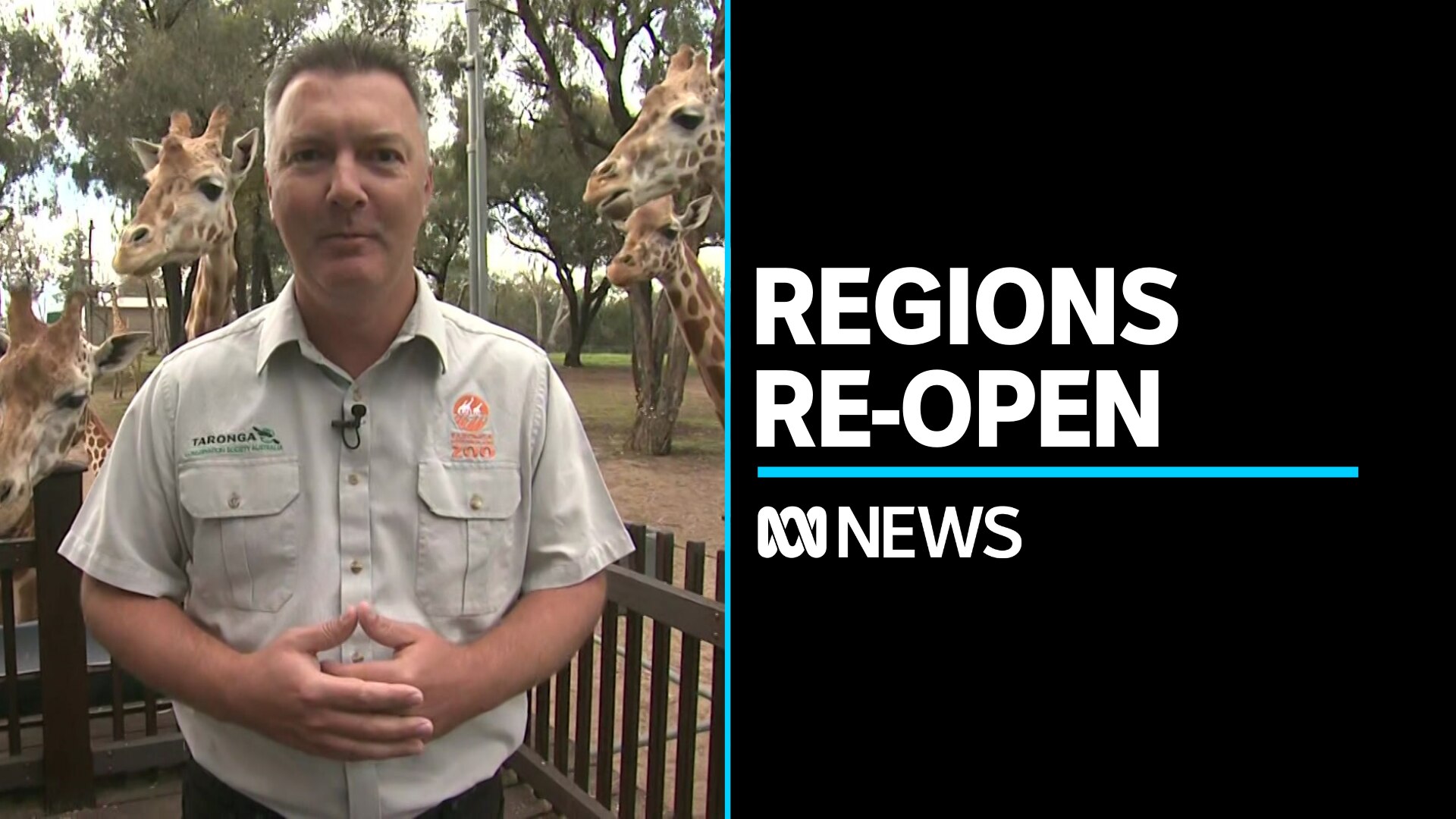 Regional NSW welcomes back tourists as restrictions ease - ABC News