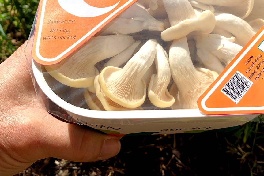 A punnet of mushrooms.