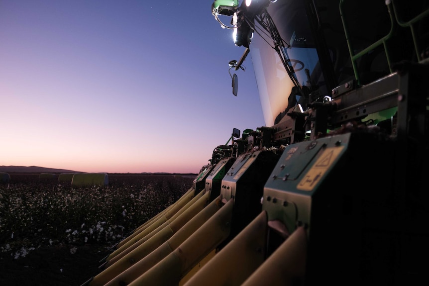 A cotton harvester in a field.