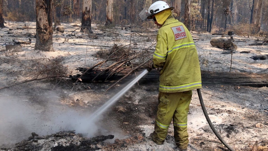 A firefighter mops up a fire at Northcliffe, in WA's South West