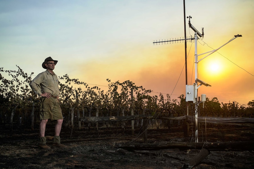Topper's Mountain vineyard owner Mark Kirkby assesses the damage to his weather station at sunset.