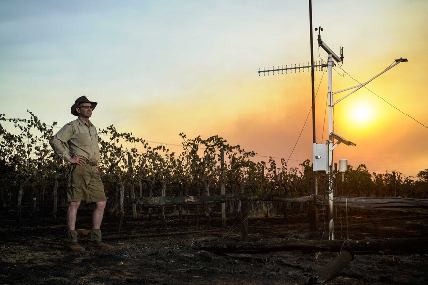 Topper's Mountain vineyard owner Mark Kirkby assesses the damage to his weather station at sunset.