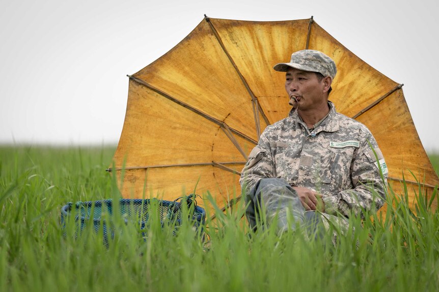 Jin Weiguo sits in a field