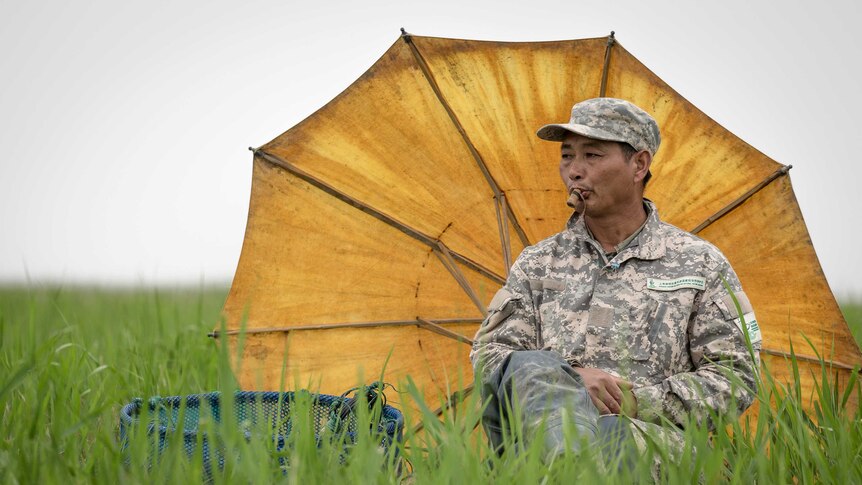 Jin Weiguo sits in a field