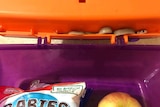 A baby brown snake tucked into the lip of a school lunchbox