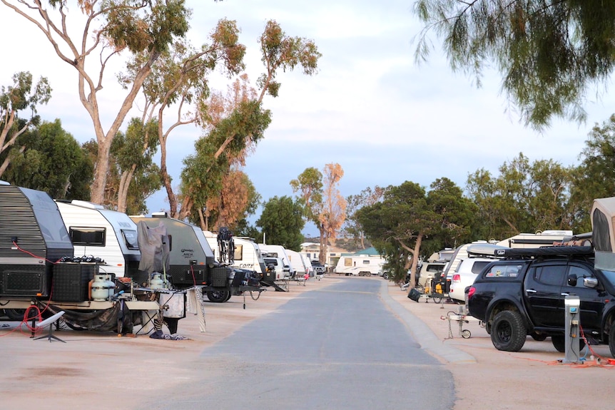 Blick auf Wohnwagen und Autos auf beiden Seiten dieser Straße im Caravanpark mit Bäumen im Hintergrund