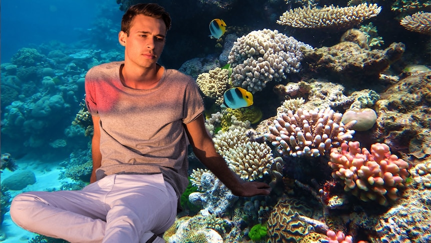 Flume superimposed over an image of the Great Barrier Reef.