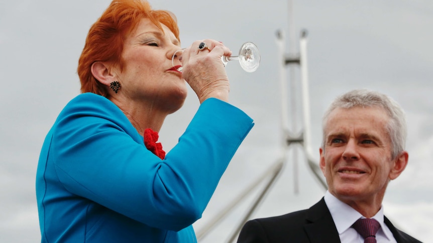 One Nation Leader Pauline Hanson celebrates Donald Trump's strong showing at the US election.
