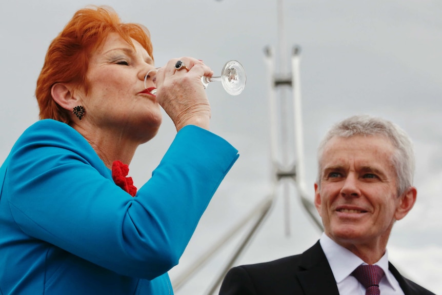 One Nation Leader Pauline Hanson celebrates Donald Trump's strong showing at the US election.