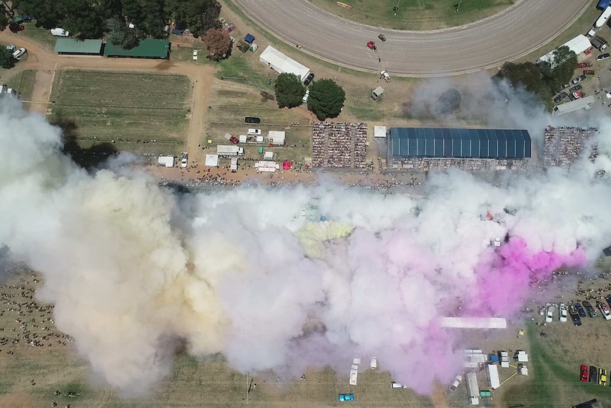 A drone shot of billows of smoke from 120 cars doing a burnout at the Summernats car festival in Canberra