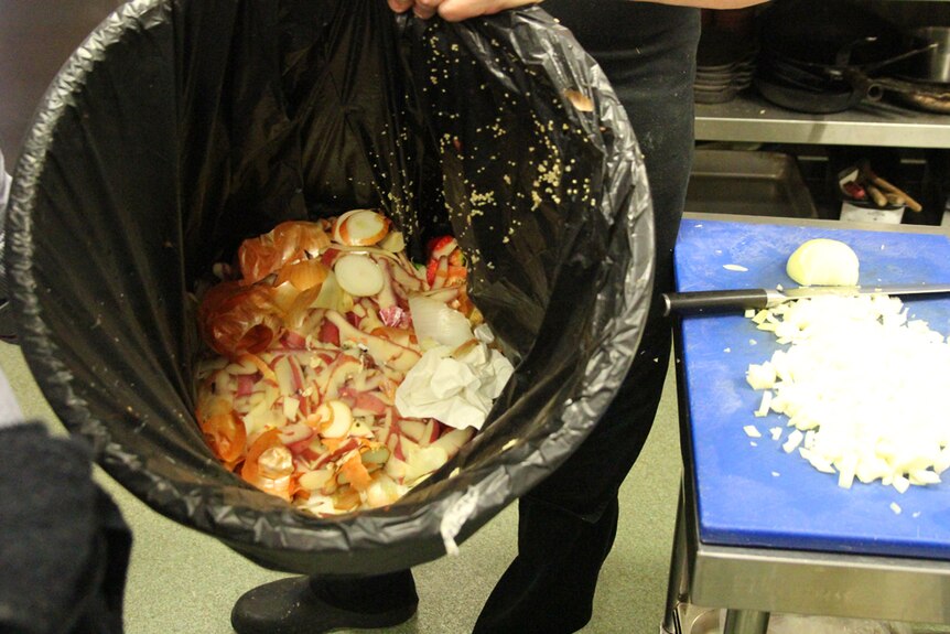 Food scraps in a plastic bin