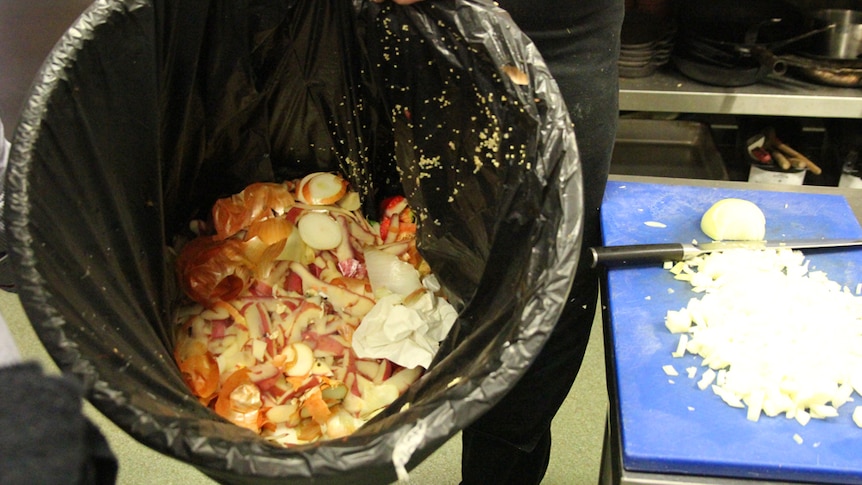 Food scraps in a plastic bin