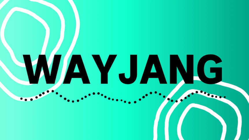 Emerald green background with black text that reads "wayjang'