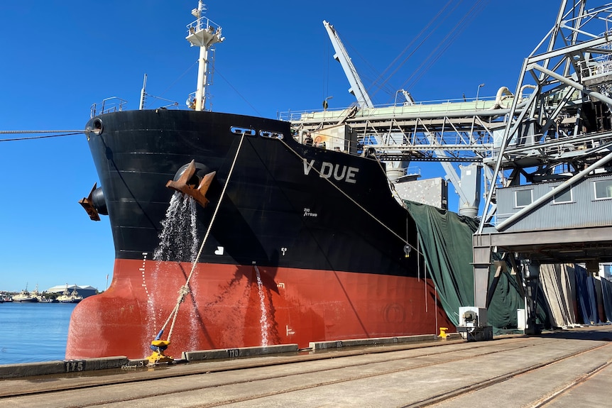 A large red and black ship alongside a grain loading terminal.