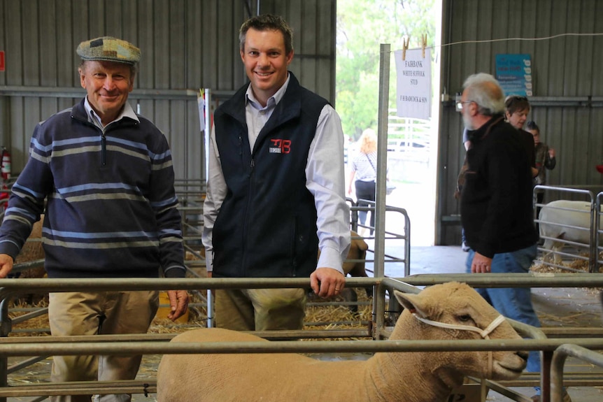 Two men smile in front of a sheep in a pen