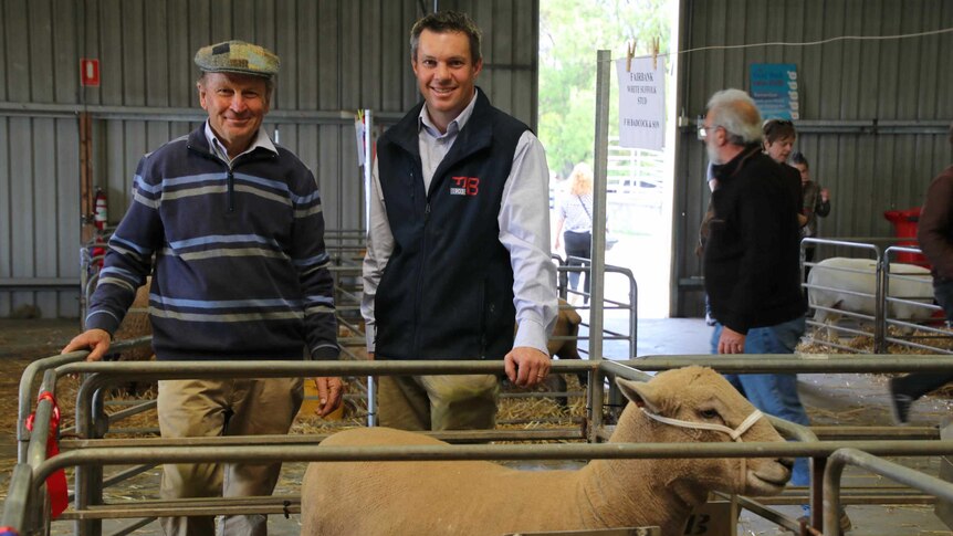 Two men smile in front of a sheep in a pen